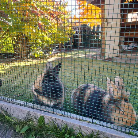 Tauernzauber Appartement Schladming